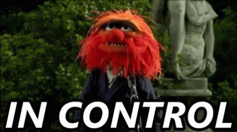 Muppets Animal GIF - Muppets Animal Incontrol - Discover & Share GIFs Animal Muppet Costume, Muppet Show Characters, Animal From The Muppets, Epi Y Blas, The Muppets 2011, Animal Muppets, Mahna Mahna, Muppets Animal, The Electric Mayhem