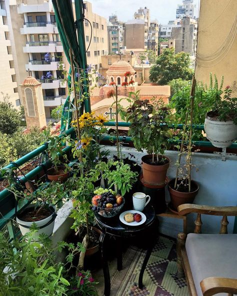 Karin on Instagram: “Sunday mood... 😊💚********************************************* #goodmorning #gardencoffee #kitchengarden  #coffeelover #herbgardening…” Balkon Decor, Small Balcony Garden, Plants And Flowers, The Balcony, Dream Apartment, Apartment Balconies, Small Balcony, Balcony Decor, Balcony Garden