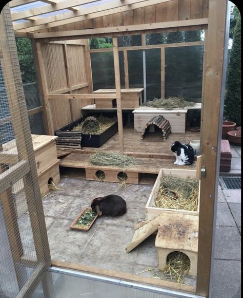 Bunny Apartment, Bunny Sheds, Rabbit Cages Outdoor, Rabbit Shed, Diy Rabbit Hutch, Rabbit Pen, Outdoor Rabbit Hutch, Rabbit Enclosure, Rabbit Habitat