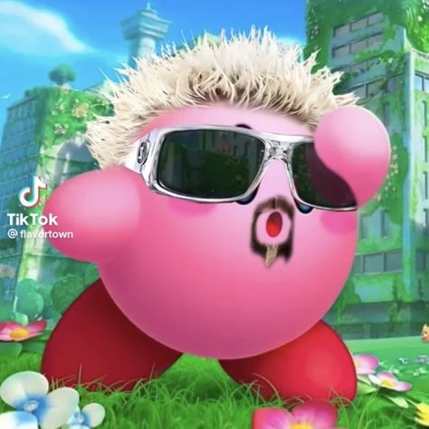 kirby swallowed fuckin guy fieri Kirby Reaction Pics, Deep Fried Memes, Silly Shirt, Self Deprecating Humor, Guy Fieri, Pinterest Memes, Funny Reaction Pictures, I Want To Be, Really Funny Pictures