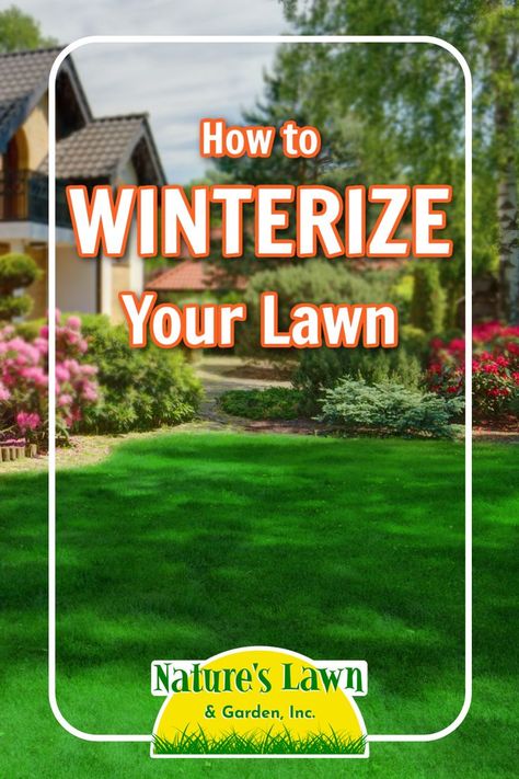 How to winterize your lawn by Nature's Lawn & Garden. Healthy green lawn in front of a nicely landscaped house. Winter Lawn Care, Natural Lawn, Fall Lawn Care, Lawn Mower Maintenance, Fall Lawn, Dog Urine, Grass Type, Harsh Winter, Soil Ph