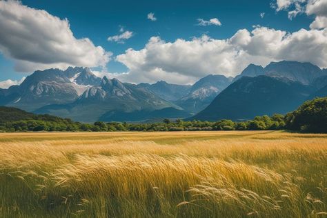 Hills Background, Field With Mountains, Grass Scenery, Grain Field, Wide Landscape, Landscape Panorama, Panoramic Landscape, Mountains Landscape, Tree Forest