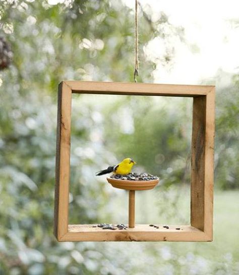 25 Best Homemade DIY Bird Feeders for All Kinds of Yards and Gardens Fun Summer Crafts, Homemade Bird Feeders, Diy Summer Crafts, Diy Bird Feeder, Diy Birds, Bird Houses Diy, Wallpaper Tumblr, Summer Diy, Bird Feeder