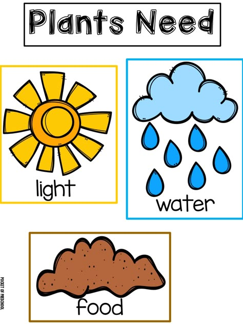 Spring Plant Freebie Pocket of Preschool.pdf - Google Drive Plants And Gardening Preschool Theme, Flower Life Cycle Preschool, Seeds Preschool, Procedure Text, Gardening Preschool, Life Cycles Preschool, Flower Life Cycle, Teaching Plants, Spring Theme Preschool