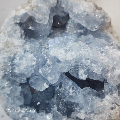 MINERAL MONDAY!! What a beautiful specimen of Blue Celestite! The sky blue crystals look almost like glass! We have several different Celestite specimens at the shop of all different shapes and sizes!! Blue Celestite looks great next to our Thundereggs and Selenite Towers!! Check them out on our website at www.redstoneok.com Moonstone Blue Aesthetic, Celestite Aesthetic, Blue Crystal Aesthetic, Mineral Aesthetic, Maleficent Oc, Alyssa Targaryen, Trixie Lulamoon, Blue Celestite, Celestite Crystal