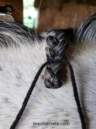 Expert Tips on How to Create the 3 Easiest Mane Braids Horse Braids Tutorial, Horse Mane Styles, Mane Braiding, Mane Braids, Horse Mane Braids, Horse Tricks, Tail Ideas, Horse Braiding, Mane Hair