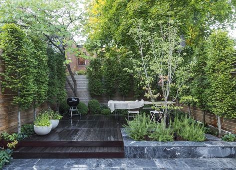 14 Ideas to Make a Small Garden Look Bigger Brooklyn Backyard, City Gardens, Landscape Structure, Patio Pavers, Potager Garden, London Garden, Small Yard, Paver Patio, Back Gardens