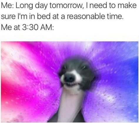 Waking Up From A Nap Funny, Yoga Puns, Nap Funny, Yoga Meme, Yoga Humor, Gym Memes Funny, Yoga Quotes Funny, Jenna Marbles, Fitness Memes