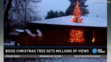 Christmas tree 'busting' through roof is a hit Christmas Neighbor, Creative Christmas Trees, Holiday Humor, Makes Me Laugh, Too Funny, The Roof, Bones Funny, Wonderful Time Of The Year, Christmas Decorating