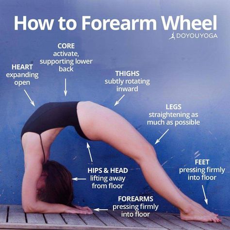 Helpful Tips For advanced yoga poses awesome Pregnancy Video, Wheel Pose Yoga, Fat Yoga, Yoga Bikram, Yoga Goals, Wheel Pose, Yoga Vinyasa, Yoga Beginners, 3rd Trimester