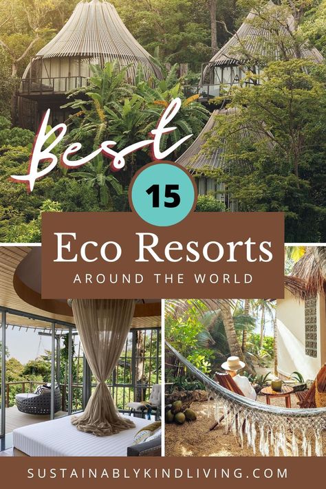 Eco Resort Architecture, Resort Design Plan, Workout For Women At Home, Green Resort, Forest Resort, Eco Village, Eco Lodges, Luxury Wellness, Eco Tourism