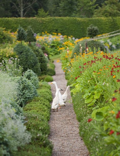 Birkhall: The home of The Prince of Wales on the Balmoral estate, Aberdeenshire - Country Life Front Yard Rock Garden, Landscape Design Front Yard, Runner Ducks, Landscape Yard, Scottish Homes, Farm Lifestyle, Dream Farm, Yard Landscape, Landscape Landscape