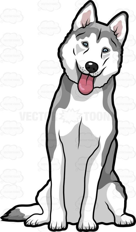 Husky Clipart, Caine Husky, Husky Drawing, Cartoon Graphics, Cute Husky, Drawing Cartoon Characters, Cute Dog Pictures, A Husky, Big Dog