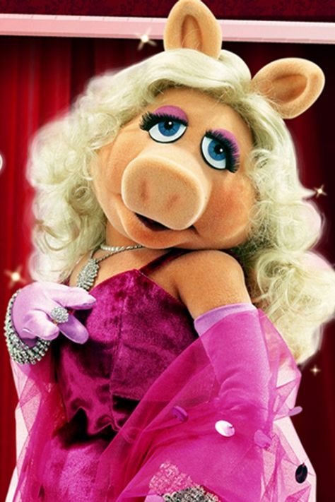 Miss Piggy Muppets, Piggy Muppets, Muppets Miss Piggy, Ms Piggy, Kermit And Miss Piggy, Sesame Street Muppets, Dangerous Minds, The Muppet Show, Miss Piggy