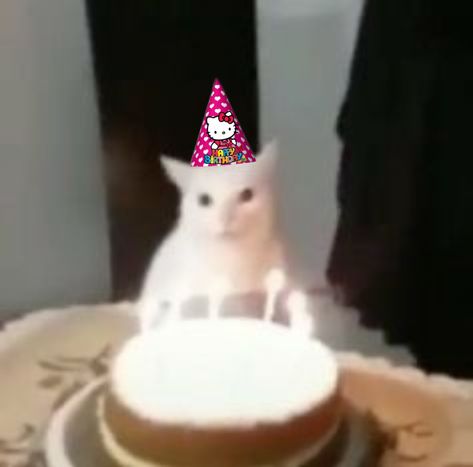 iz ur birfday Silly Happy Birthday, Msby Black Jackals, Cat Celebrating, Birthday Icon, Hello Kitty Party, Hello Kitty Birthday, Silly Cats Pictures, Cat Icon, Birthday Meme