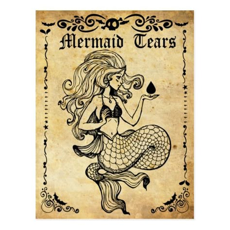 Old postcard mermaid tears vintage label postcard #halloween #holiday #creepyhollow #cards #postage Halloween Apothecary Labels, Halloween Potion Bottles, Halloween Apothecary, Harry Potter Potions, Potion Labels, Apothecary Labels, Halloween Bottles, Mermaid Sticker, Festa Harry Potter