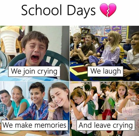 School Days Quotes, School Life Memories, School Life Quotes, Student Jokes, Funny English Jokes, Exam Quotes Funny, English Jokes, Student Humor, School Quotes Funny