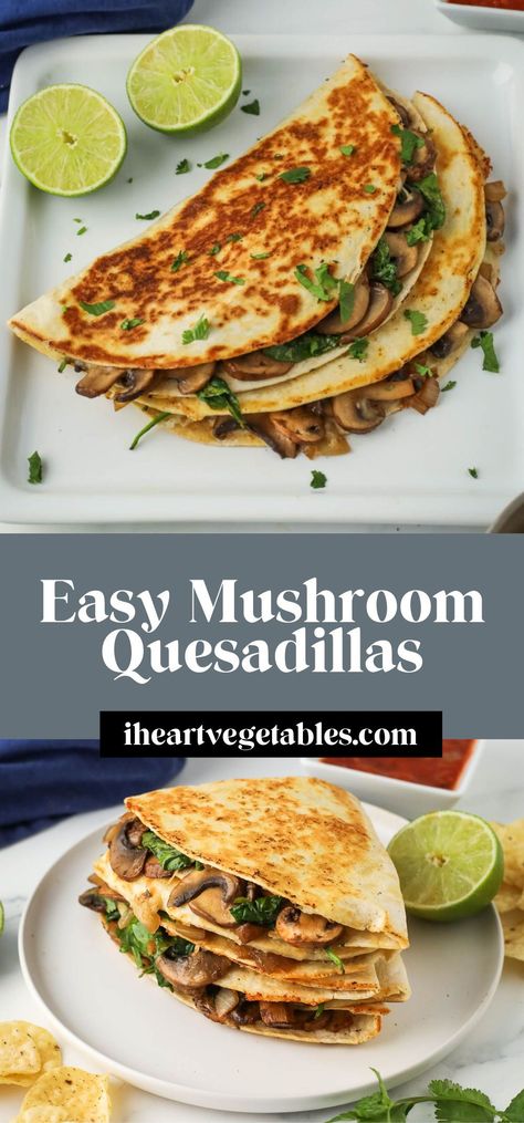 This spinach and mushroom quesadilla is crispy on the outside and loaded with gooey cheese and tender mushrooms on the inside! It’s a great way to fill up a quesadilla with plenty of veggies! Mexican Fusion Recipes, Mushroom Quesadilla, Spinach Quesadilla, Vegetarian Quesadillas Recipes, Mushroom Quesadillas, Gluten Free Mexican Recipes, Gluten Free Mexican, Yummy Lunch Recipes, Mexican Fusion