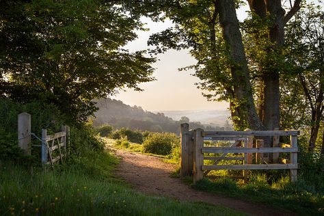 The British Countryside | Flickr - Photo Sharing! Owl City, British Countryside, Pretty Landscapes, Alam Yang Indah, English Countryside, Nature Aesthetic, Pretty Places, Country Life, Farm Life