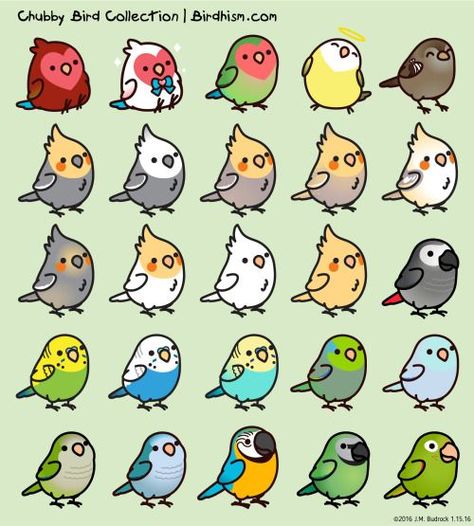 Cute Cartoon Cockatiels | cute kawaii birds sparrow parrotlet lovebird macaw conure cockatiels ... The Birds, Rock Painting, Cute Stuff, Cute Things, Drawing Ideas, To Draw, Cute Animals, Doodles, Bullet Journal