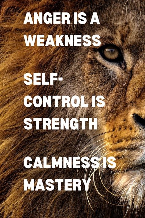 quotes, motivation, inspiration, calmness, self-control, anger Control Anger Quotes, Quotes Anger, Self Control Quotes, Weakness Quotes, Control Quotes, Anger Quotes, How To Control Anger, Inspirational Quotes Background, Discipline Quotes