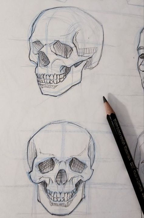 Skull Angles Drawing, Skull In Different Angles, Skulls Drawing Tutorial, Human Atonomy Drawing Sketch, Skull Drawing Practice, Drawing Ideas Sculls, Skull Sketch Tutorial, Human Skull Drawing Sketches, Easy Skull Sketch