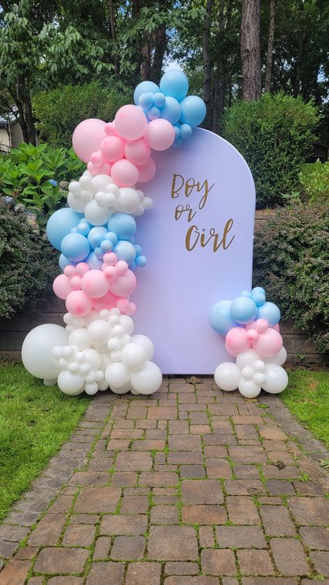 Baby gender reveal! Simple Gender Reveal Balloon Garland, Balloon Decorations Gender Reveal, Gender Reveal Balloon Backdrop, Gender Reveal Ideas For Party Simple, Easy Gender Reveal Decorations, Gender Reveal Party Checklist, Boy Or Girl Decoracion, Gender Reveal Balloons Decorations, Gender Reveal Ideas Summer