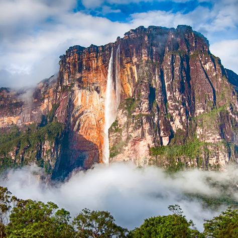 Angel Falls, located within Venezuela's Canaima National Park, is impressive in its own right, but what makes it even more special is that it takes passion and determination to get there. Angel Falls Venezuela, Angel Falls, Famous Waterfalls, Iguazu Falls, Beautiful Waterfalls, Zimbabwe, San Pedro, Fallen Angel, Unesco World Heritage