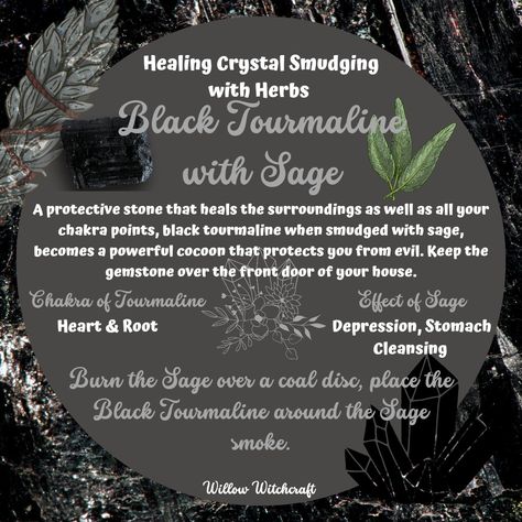 Willow Witchcraft Black Sage Smudge Benefits, Black Sage Benefits, Sage Color Meaning, Bottles And Brews, Witchy Corner, Crystal Pairings, Closet Witch, Witch Stones, Protection Rituals