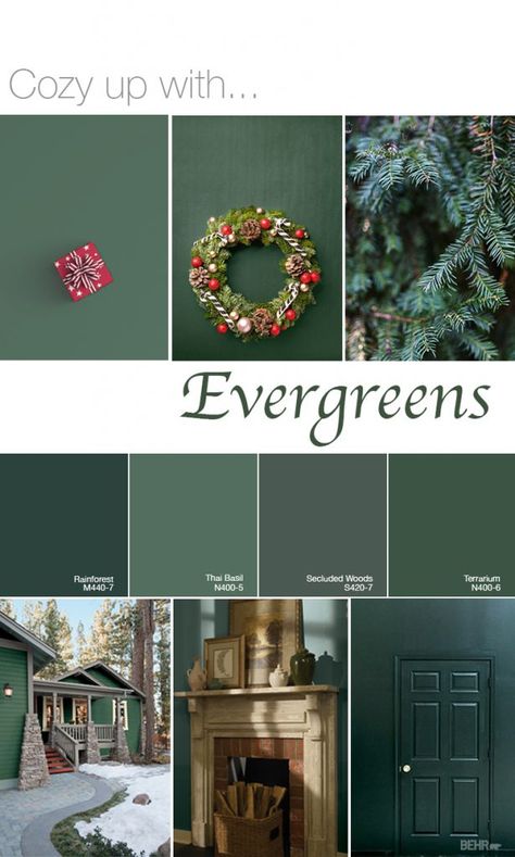 Color of the Month: In the Moment - Colorfully BEHR Emerald Green Behr Paint, Green Painted Walls Behr, Forest Green Behr Paint, Green Agate Behr Paint, Secluded Woods Behr Paint, Secluded Woods Behr, Behr Emerald Green Paint Colors, North Woods Behr Paint, Evergreen Paint Color