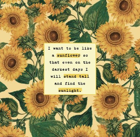 Beautiful Reminders, Sunflower Wallpaper Quotes, Positive Flower Quotes, Follow The Sun Quotes, Be Like Sunflower Quotes, Sunflower Motivational Quotes, Sunflower Positive Quotes, Flower Motivational Quotes, Sunflower Inspiration Quotes