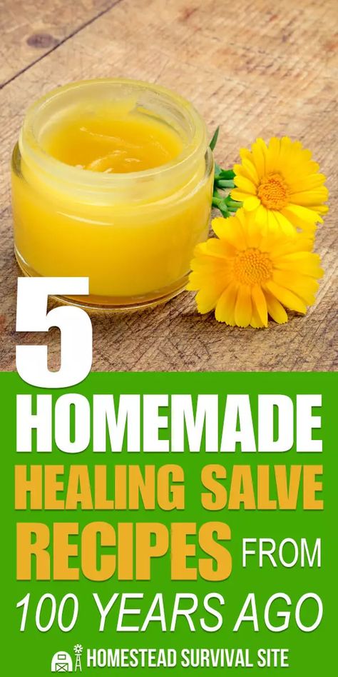 Learning how to heal injuries with herbs, healing salves, and other items is a fundamental skill for any homesteader. #homesteadsurvivalsite #healingsalves #homemade #homeremedies #naturalmedicine Homemade Healing Salve, Healing Salve Recipe, Salve Recipes, Herbal Salves, Boho Lifestyle, Healing Salves, Natural Healing Remedies, Natural Therapy, Healing Herbs