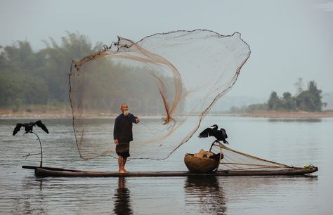 Lake Toba, Net Fishing, Fishing Net, Gone Fishing, Chinese Traditional, Sumi E, Draw On Photos, Fishing Gear, Traditional Japanese