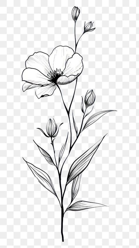 Hand Drawn Flowers Illustration, Minimal Flower Drawing, Wildflower Line Drawing, Wildflower Black And White, Wildflowers Drawing, Small Flower Drawings, Line Drawing Flowers, Line Drawing Flower, Wild Flower Design