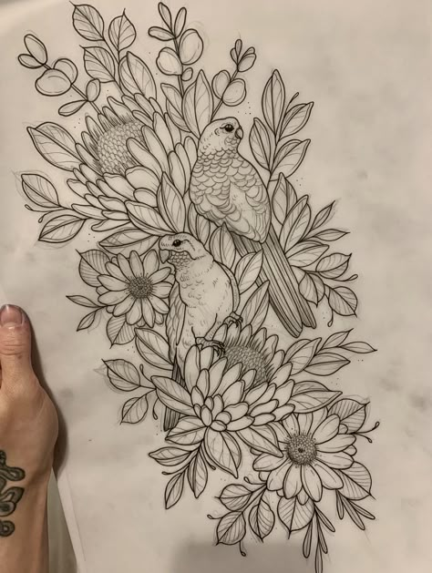 Australian Wildflower Tattoo, Native Australian Flowers Drawing, Australian Native Floral Tattoo, Australian Native Tattoo Sleeve, Australian Bird Tattoo, Australian Floral Tattoo, Australian Flora Tattoo, Australian Native Flowers Tattoo, Native Bird Tattoo