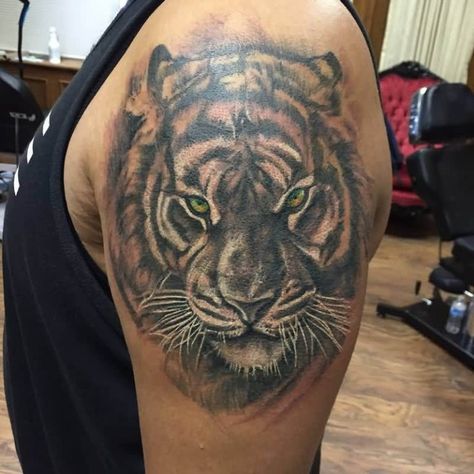 14+ Best Shoulder Tattoo Designs – Tiger Tattoo Ideas | PetPress Tiger Shoulder Tattoo, Tattoo Designs Tiger, Mens Tiger Tattoo, Tiger Tattoo Ideas, Shoulder Tattoo Designs, Tiger Head Tattoo, Mother And Son Tattoo, Flower Shoulder Tattoo, Blade Tattoo