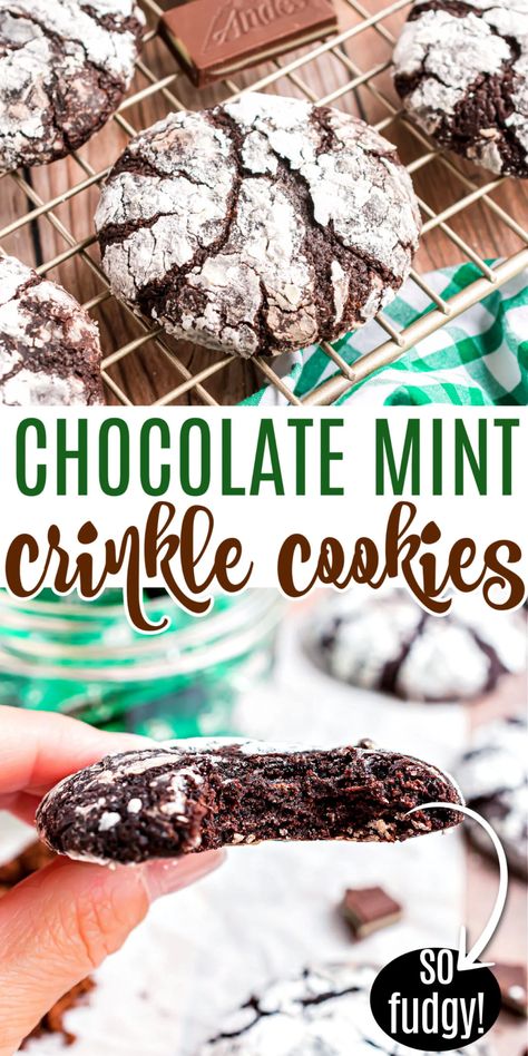 Chocolate Crinkle Cookies Recipe, Dark Chocolate Mint, Crinkle Cookies Recipe, Chocolate Mint Cookies, Chocolate Crinkle, Chocolate Crinkle Cookies, Festive Cookies, Chocolate Crinkles, Mint Cookies