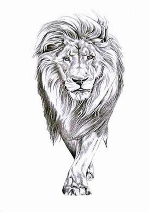 LL (550×784) Lion Walking, Tier Tattoo, Lion Sketch, Tattoo Lion, Lion Tattoos, Lion Drawing, Lion Tattoo Design, Leo Tattoos, Graffiti Designs