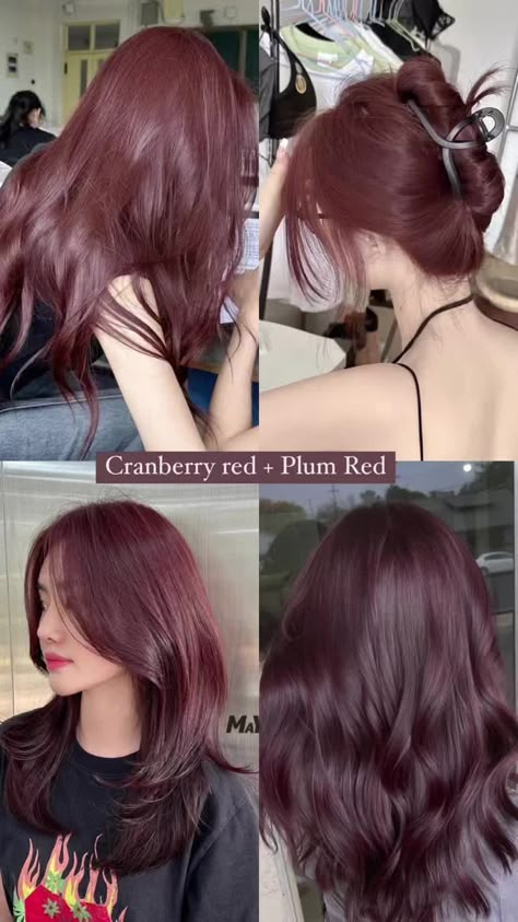 haircolor Work Friendly Hair Color, Basic Hair Color Ideas, Pale Olive Skin Tone Hair Color, Hair Colours For Cool Skin Tones, Hair Color Ideas For Neutral Skin Tone, Mix Hair Color Ideas, Winter Hair Color For Pale Skin, Asian Hair Color Ideas Korean, Hair Color Ideas Without Bleaching