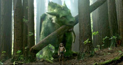 let build a home David Lowery, Pete Dragon, Live Action Disney, Dragon Movies, Dragon's Lair, Summer Movie, Here Be Dragons, Disney Live, Fantasy Beasts