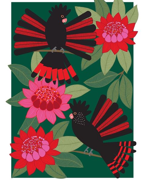 Jocelyn Proust (@jocelynproustdesigns) • Fotos y vídeos de Instagram Red Tailed Black Cockatoo, Black Cockatoo, Birds Of Australia, Australian Native Flowers, Flora Design, Art Sketches Doodles, Australian Flora, Bird Quilt, Australian Birds