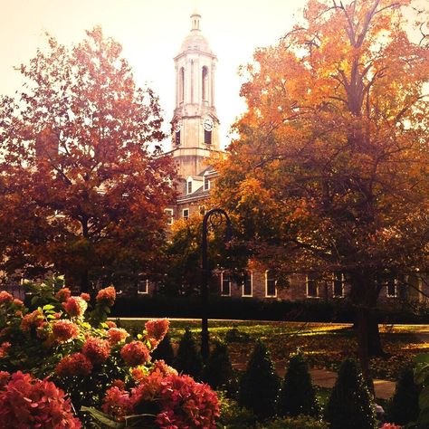 Love fall days at Penn State Penn State College, We Are Penn State, State College Pa, Penn State Football, Pennsylvania State University, Penn State University, Bleed Blue, Lion Pride, Dream College