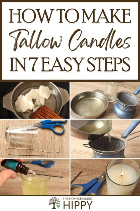 How to make candles from rendered beef fat, or tallow candles, and even add some scent to them. It's really easy. #DIY #candles #candlemaking #skills #homesteading Tallow Uses, Deer Tallow, Diy Tallow, Make Tallow, Easy Diy Candles, Candle Making Scents, Tallow Recipes, Smokehouse Ideas, Tallow Candle