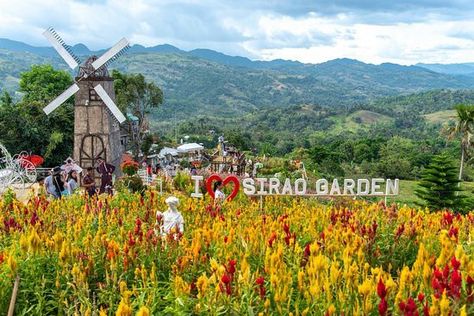 Sirao Garden Cebu, What To Do In Amsterdam, Places In Amsterdam, Amsterdam Holiday, Amsterdam Bucket List, To Do In Amsterdam, Travel Amsterdam, Netherlands Travel, Cebu City