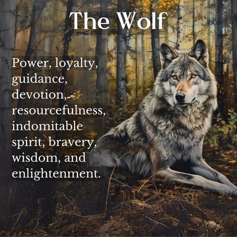 Discover the symbolism of wolves across diverse cultures and beliefs: 🐺 Spirit Animal: Representing power, loyalty, and guidance. 👪 Family: Signifying loyalty and devotion. 🌿 Nature: Symbolizing resourcefulness and an indomitable spirit. 🌟 Other: Embodying bravery, wisdom, and enlightenment. Explore the multifaceted symbolism of wolves, from protecting family to nurturing leadership qualities! 🌌 #witches #witchcraft #magick #pagan #symbolism #WolfSymbolism #CultureAndBeliefs Wolf Symbolism, Protect Family, Wolf Spirit Animal, Leadership Qualities, Wolf Spirit, Business Law, Wolf Pack, The Wolf, Spirit Animal