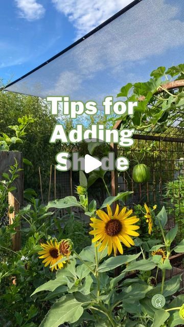 Garden Shades Ideas, Shade For Vegetable Garden, Sun Shade For Plants, Diy Shade Cloth For Plants, Shade For Plants, Shade Cloth Garden, Planters For Shade, Garden Sun Shade, Arizona Gardening