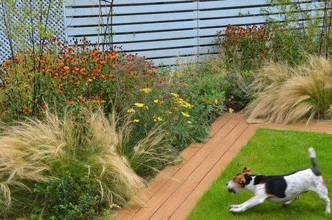 Dog Friendly Landscaping, Dog Yard Landscaping, Rise Garden, Pet Friendly Backyard, Terrace Backyard, Backyard Dog Area, Small Garden Plans, Small Back Gardens, Outdoor Landscaping Ideas