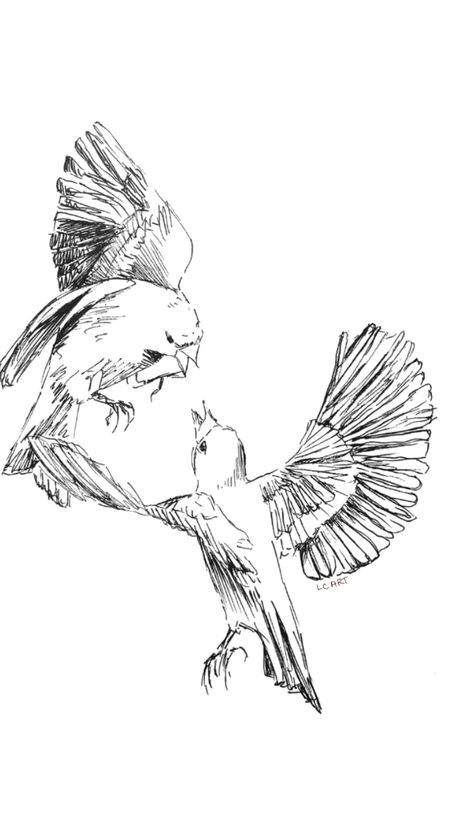 Drawing in ink by me #birds #sketch #drawingideas Two Birds Drawing, Birds Kissing, Birds Sketch, Tatts Ideas, Kissing Drawing, Fly Drawing, Mocking Birds, Flying Together, Bird Sketch