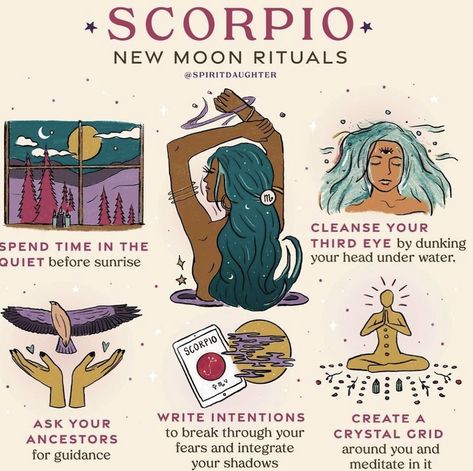 Scorpio New Moon, Spirit Daughter, Witchy Tips, Moon Astrology, Moon Rituals, The Scorpio, New Moon Rituals, Magic Day, Scorpio Season