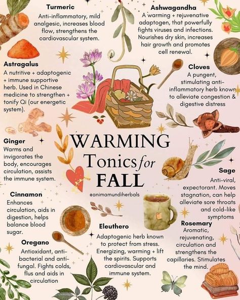 Food Spells, Grounding Foods, Survival Journal, Herbal Lifestyle, Apothecary Book, Herbal Remedies Recipes, Medicinal Herbs Garden, Moon Astrology, Medical Herbs